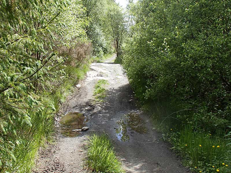 Mountainbike routes Bikewales route 5