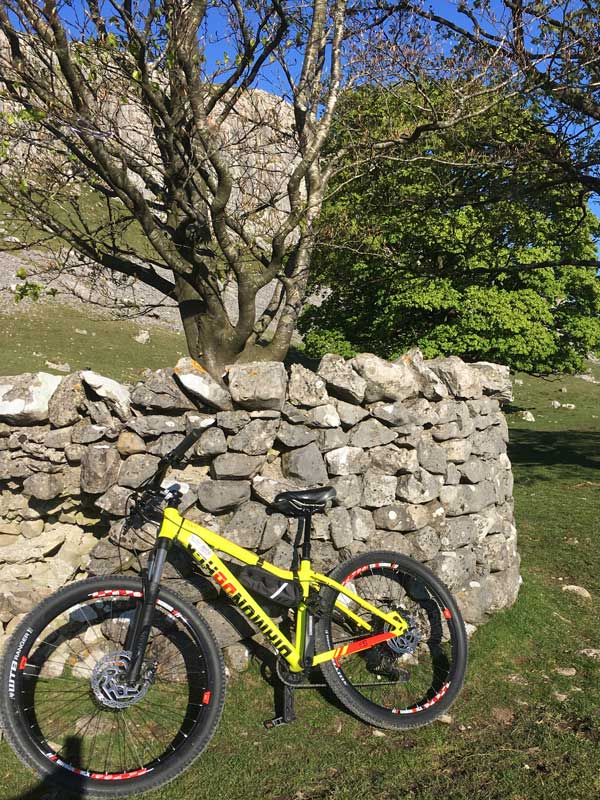 Hardtail mountainbike